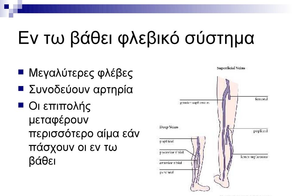 αρτηρία Οι επιπολής μεταφέρουν