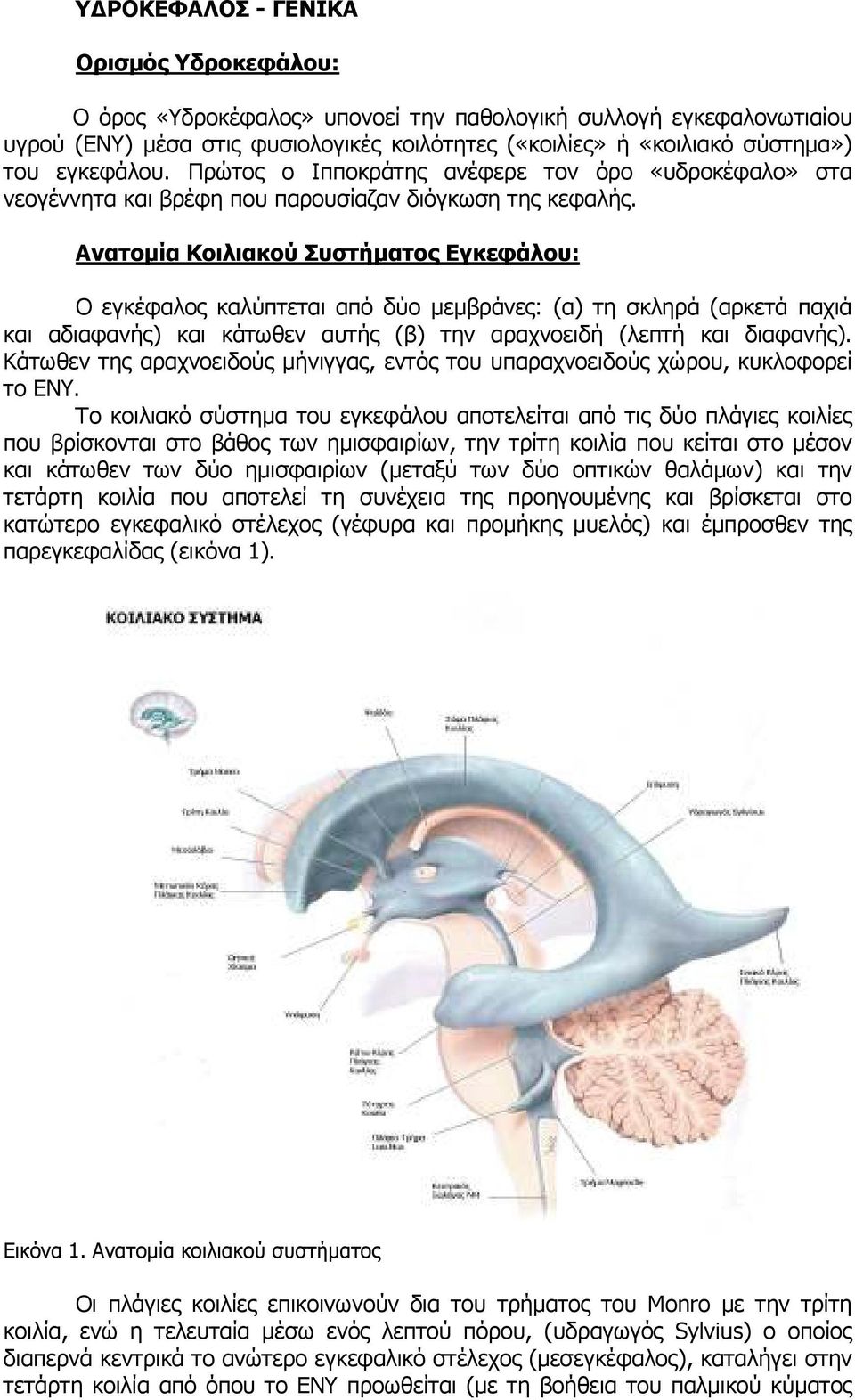 Ανατοµία Κοιλιακού Συστήµατος Εγκεφάλου: Ο εγκέφαλος καλύπτεται από δύο µεµβράνες: (α) τη σκληρά (αρκετά παχιά και αδιαφανής) και κάτωθεν αυτής (β) την αραχνοειδή (λεπτή και διαφανής).