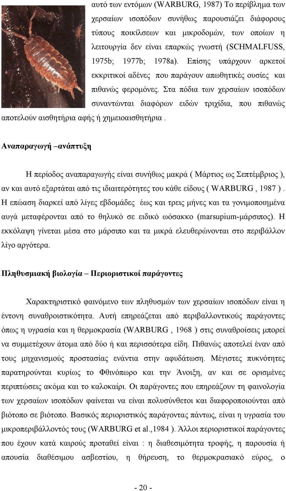 Στα πόδια των χερσαίων ισοπόδων συναντώνται διαφόρων ειδών τριχίδια, που πιθανώς αποτελούν αισθητήρια αφής ή χηµειοαισθητήρια.