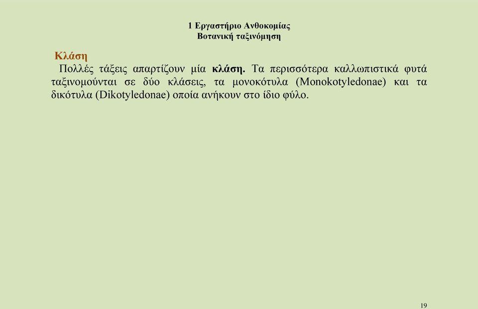 δύο κλάσεις, τα μονοκότυλα (Monokotyledonae) και