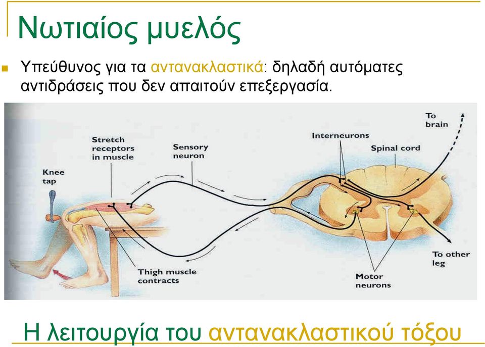 αντιδράσεις που δεν απαιτούν