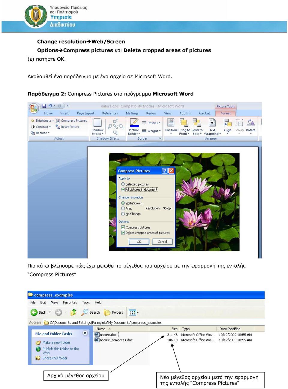 Παράδειγμα 2: Compress Pictures στο πρόγραμμα Microsoft Word Πιο κάτω βλέπουμε πώς έχει μειωθεί το