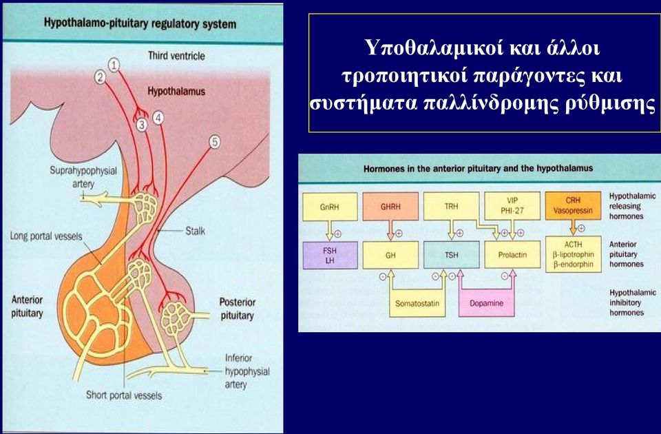 παράγοντες και