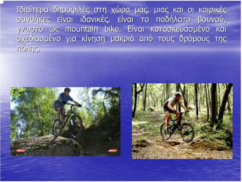 γνωστό ως mountain bike.