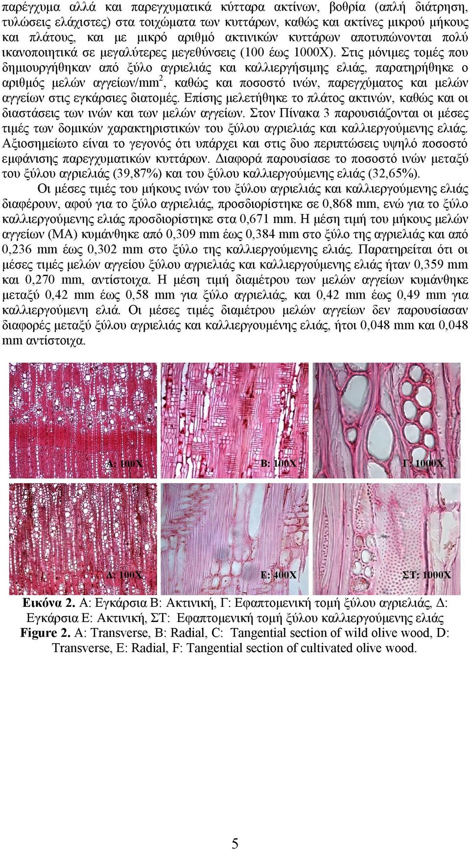 Στις μόνιμες τομές που δημιουργήθηκαν από ξύλο αγριελιάς και καλλιεργήσιμης ελιάς, παρατηρήθηκε ο αριθμός μελών αγγείων/mm 2, καθώς και ποσοστό ινών, παρεγχύματος και μελών αγγείων στις εγκάρσιες