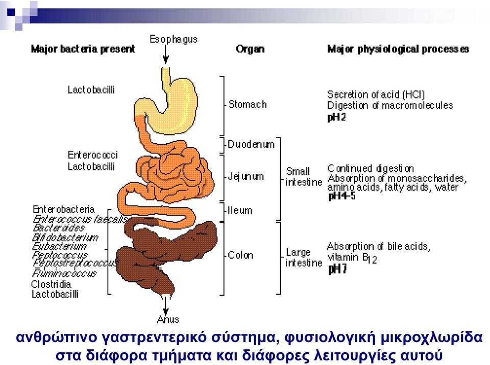 μικροχλωρίδα στα διάφορα