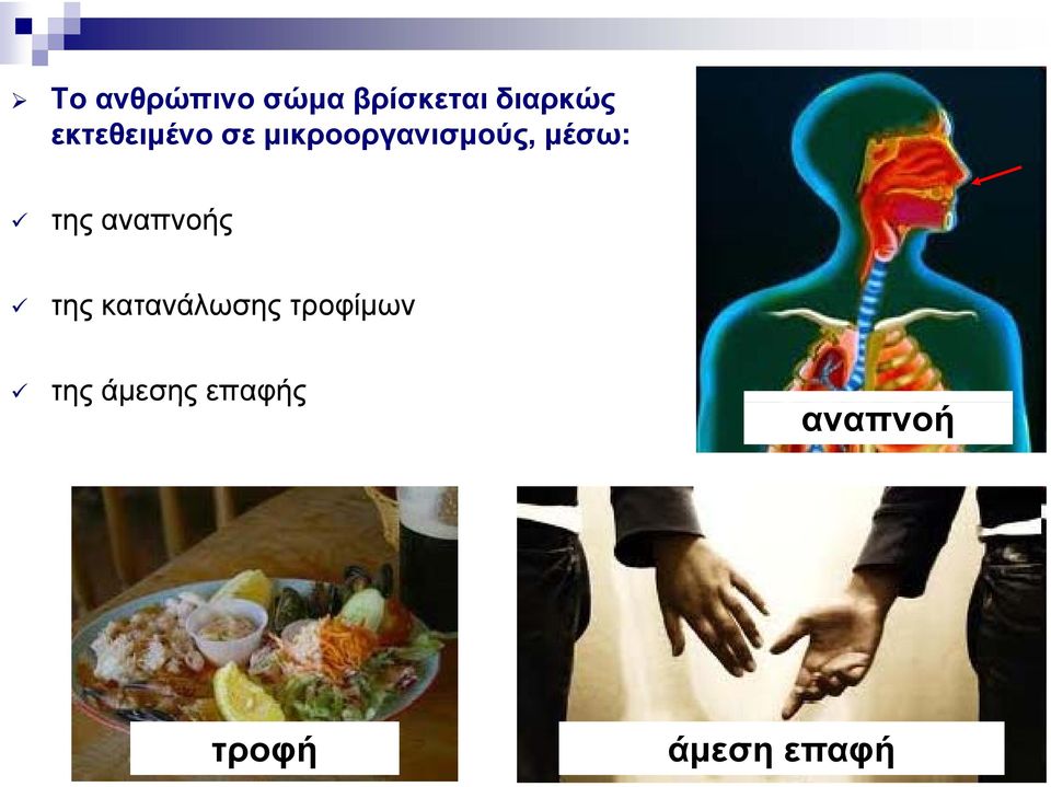 της αναπνοής της κατανάλωσης τροφίμων