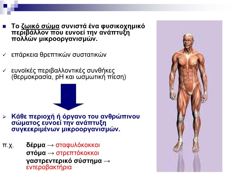 επάρκεια θρεπτικών συστατικών ευνοϊκές περιβαλλοντικές συνθήκες (θερμοκρασία, ph και ωσμωτική