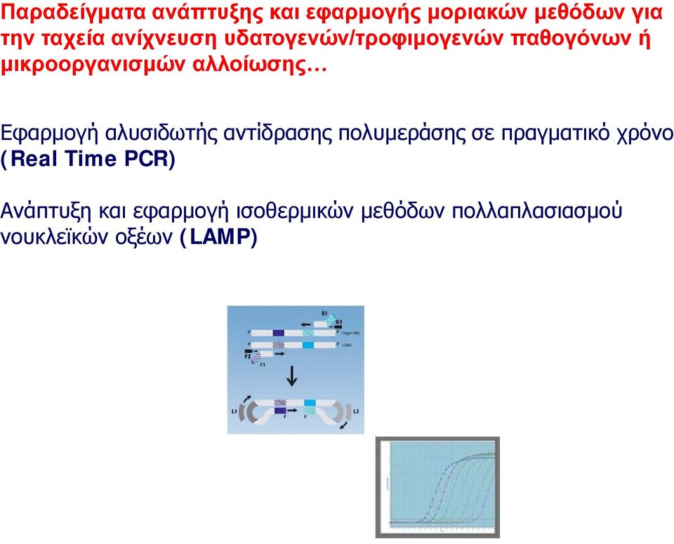 Εφαρμογή αλυσιδωτής αντίδρασης πολυμεράσης σε πραγματικό χρόνο (Real Time