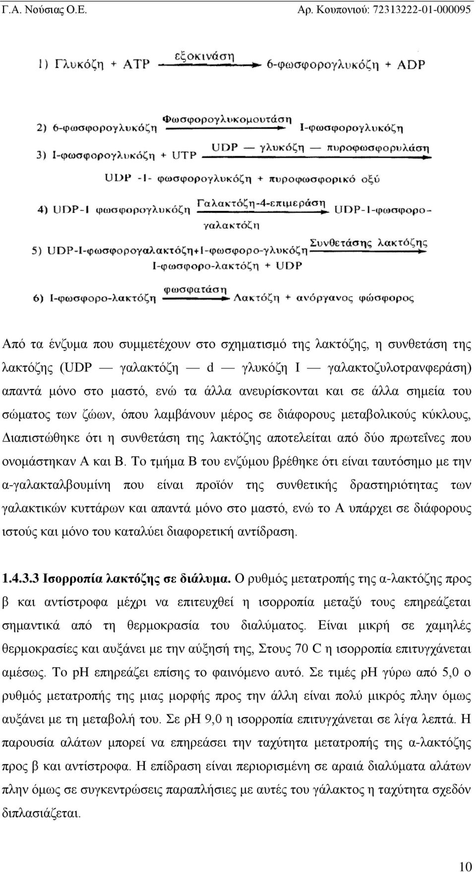 To τμήμα Β του ενζύμου βρέθηκε ότι είναι ταυτόσημο με την α-γαλακταλβουμίνη που είναι προϊόν της συνθετικής δραστηριότητας των γαλακτικών κυττάρων και απαντά μόνο στο μαστό, ενώ το Α υπάρχει σε