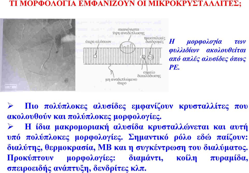 Η ίδια µακροµοριακή αλυσίδα κρυσταλλώνεται και αυτή υπό πολύπλοκες µορφολογίες.