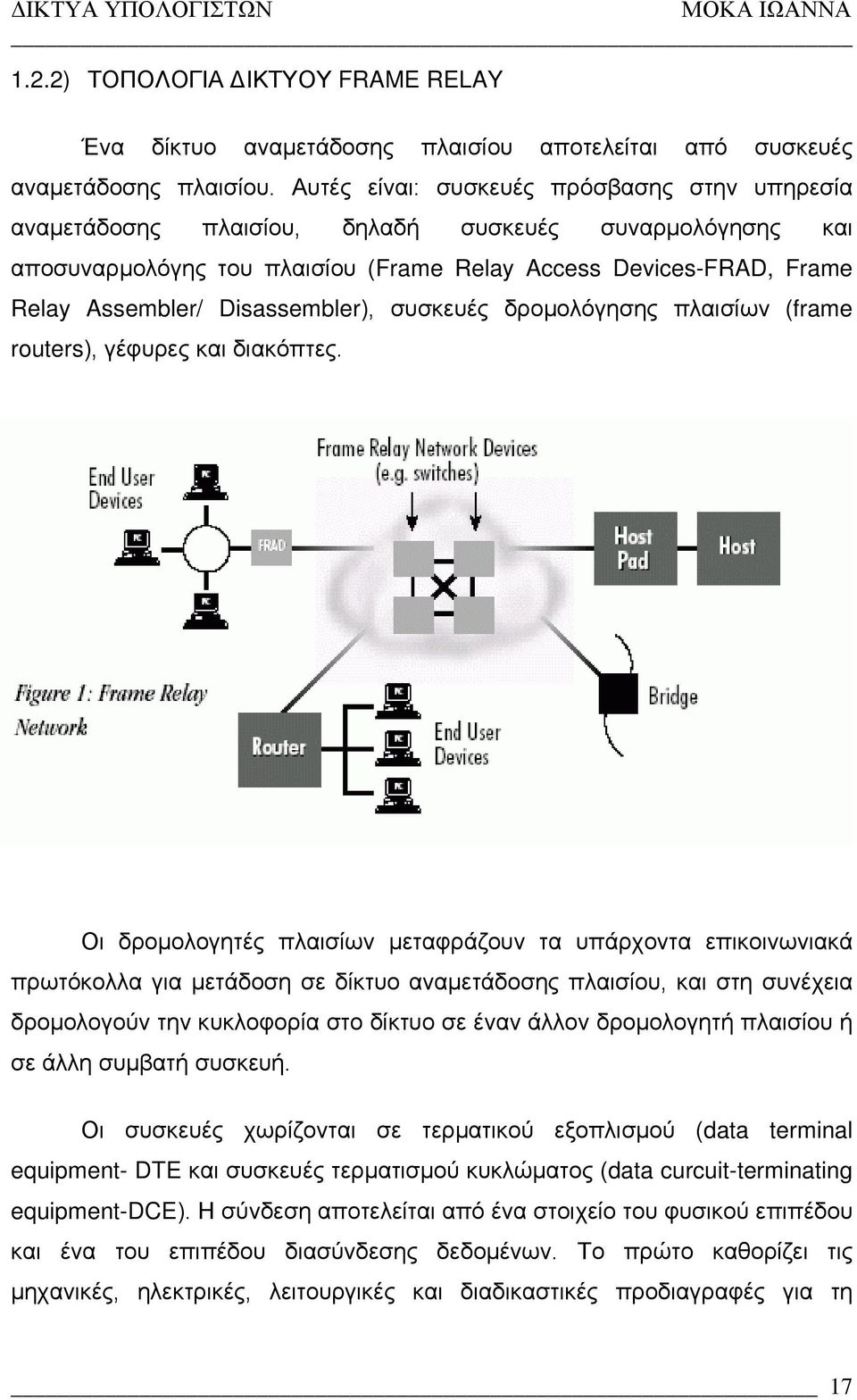 Disassembler), συσκευές δρομολόγησης πλαισίων (frame routers), γέφυρες και διακόπτες.