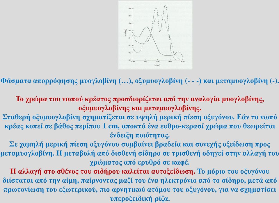 Σε χαμηλή μερική πίεση οξυγόνου συμβαίνει βραδεία και συνεχής οξείδωση προς μεταμυογλοβίνη. Η μεταβολή από δισθενή σίδηρο σε τρισθενή οδηγεί στην αλλαγή του χρώματος από ερυθρό σε καφέ.