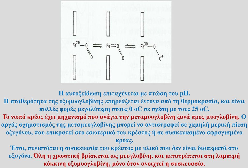 Το νωπό κρέας έχει μηχανισμό που ανάγει την μεταμυογλοβίνη ξανά προς μυογλοβίνη.