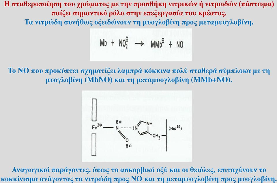 Το ΝΟ που προκύπτει σχηματίζει λαμπρά κόκκινα πολύ σταθερά σύμπλοκα με τη μυογλοβίνη (MbNO) και τη μεταμυογλοβίνη