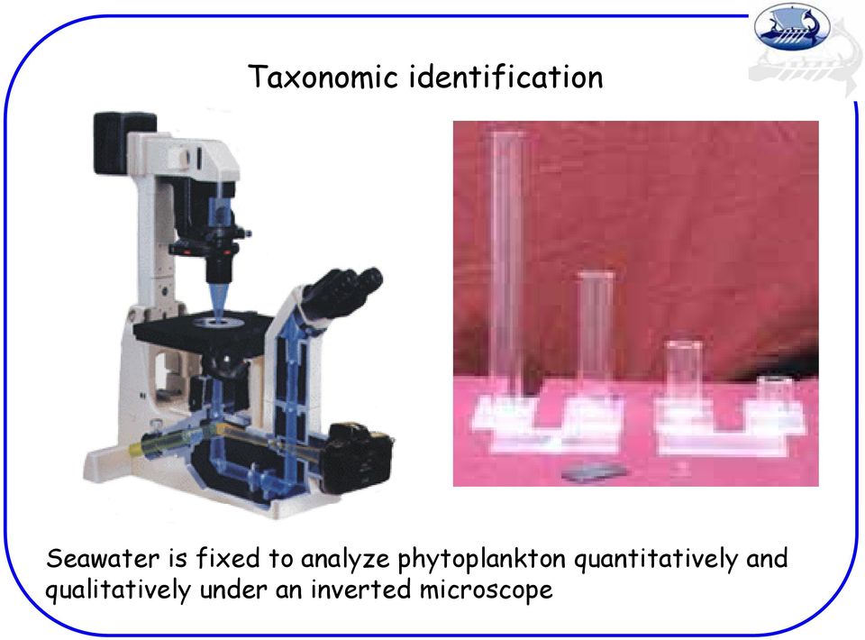 phytoplankton quantitatively and