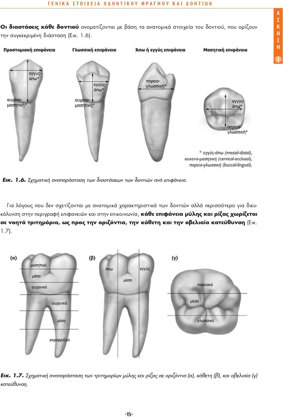 Για λόγους που δεν σχετίζονται με ανατομικά χαρακτηριστικά των δοντιών αλλά περισσότερο για διευκόλυνση στην περιγραφή επιφανειών και στην επικοινωνία, κάθε