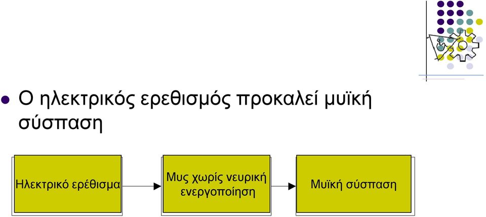 ερέθισμα Innervated Muscle Μυς χωρίς