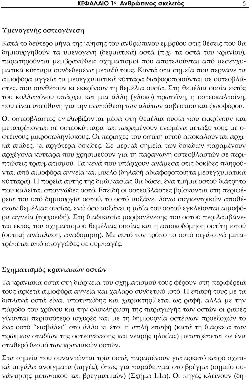 Κοντά στα σημεία που περνάνε τα αιμοφόρα αγγεία τα μεσεγχυματικά κύτταρα διαφοροποιούνται σε οστεοβλάστες, που συνθέτουν κι εκκρίνουν τη θεμέλια ουσία.