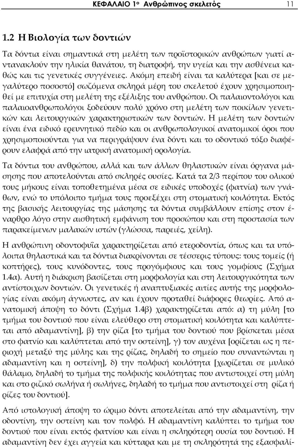 συγγένειες. Ακόμη επειδή είναι τα καλύτερα [και σε μεγαλύτερο ποσοστό] σωζόμενα σκληρά μέρη του σκελετού έχουν χρησιμοποιηθεί με επιτυχία στη μελέτη της εξέλιξης του ανθρώπου.