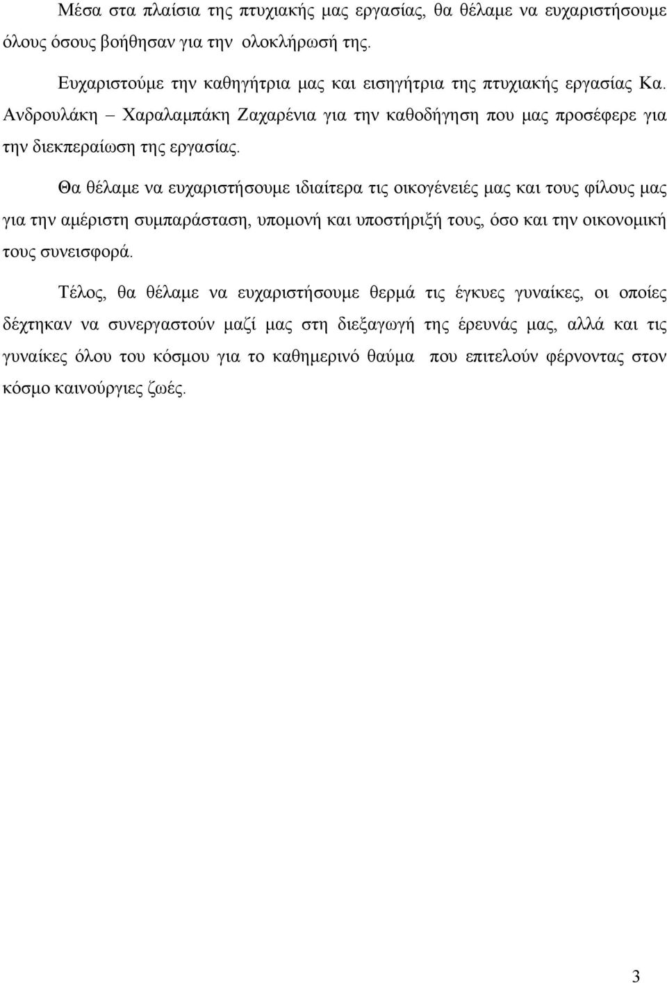 Θα θέλαμε να ευχαριστήσουμε ιδιαίτερα τις οικογένειές μας και τους φίλους μας για την αμέριστη συμπαράσταση, υπομονή και υποστήριξή τους, όσο και την οικονομική τους συνεισφορά.