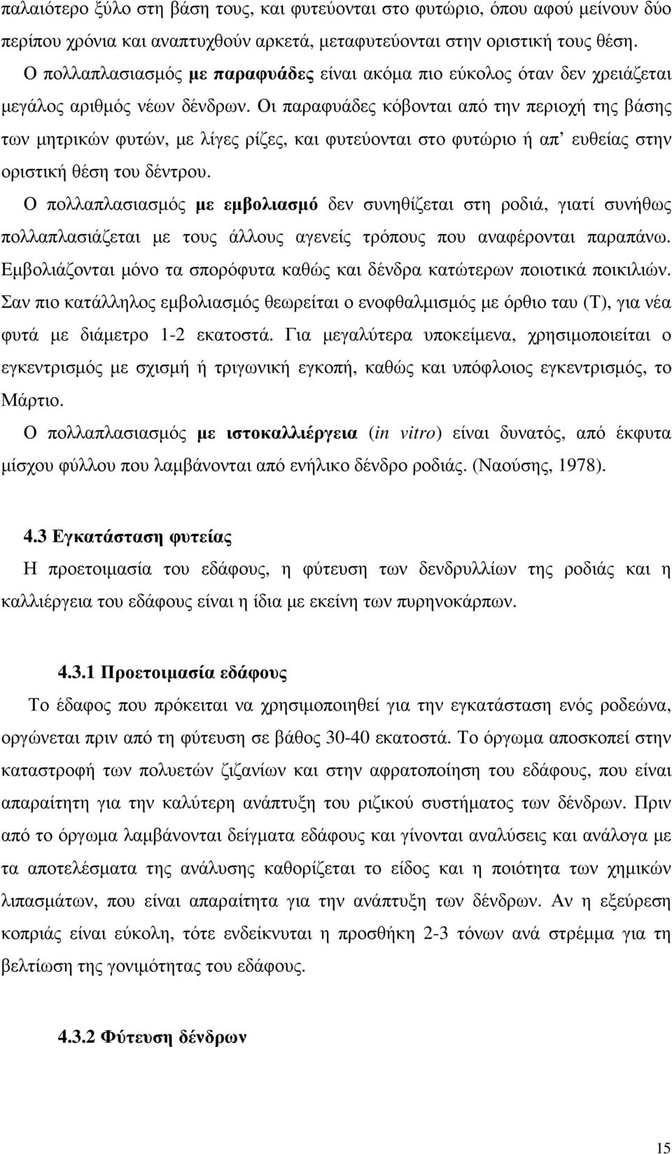 Οι παραφυάδες κόβονται από την περιοχή της βάσης των µητρικών φυτών, µε λίγες ρίζες, και φυτεύονται στο φυτώριο ή απ ευθείας στην οριστική θέση του δέντρου.