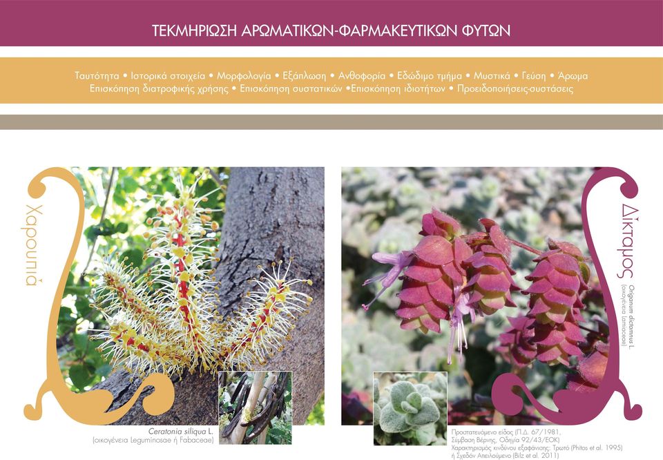 dictamnus L. (οικογένεια Lamiaceae) Χαρουπιά Ceratonia siliqua L. (οικογένεια Leguminosae ή Fabaceae) Προστατευόμενο είδος (Π.Δ.