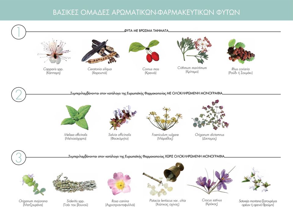 ΜΕ ΟΛΟΚΛΗΡΩΜΕΝΗ ΜΟΝΟΓΡΑΦΙΑ Melissa officinalis (Μελισσόχορτο) Salvia officinalis (Φασκόμηλο) Foeniculum vulgare (Μάραθος) Origanum dictamnus (Δίκταμος) 3 Συμπεριλαμβάνονται στον