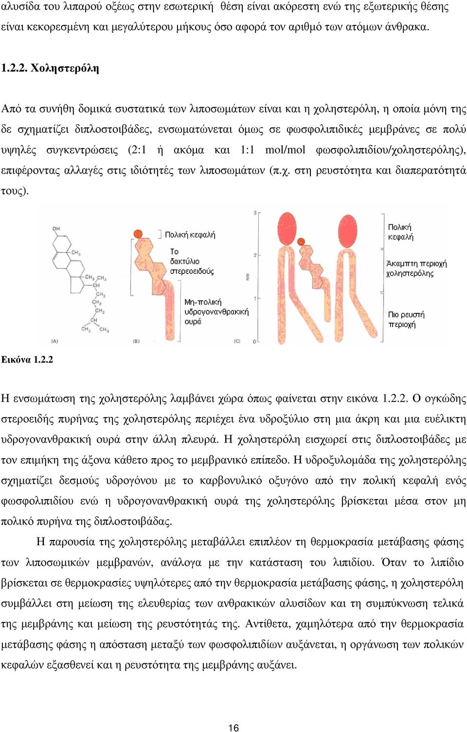 συγκεντρώσεις (2:1 ή ακόµα και 1:1 mol/mol φωσφολιπιδίου/χοληστερόλης), επιφέροντας αλλαγές στις ιδιότητές των λιποσωµάτων (π.χ. στη ρευστότητα και διαπερατότητά τους). Εικόνα 1.2.2 Η ενσωµάτωση της χοληστερόλης λαµβάνει χώρα όπως φαίνεται στην εικόνα 1.