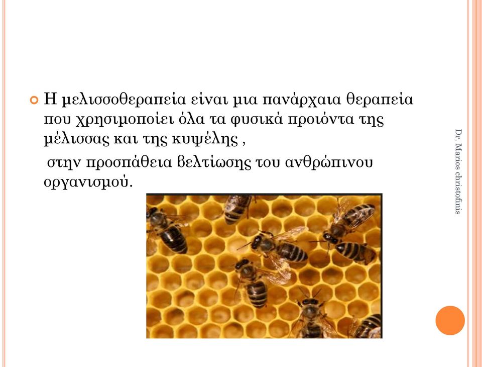 προιόντα της μέλισσας και της κυψέλης,