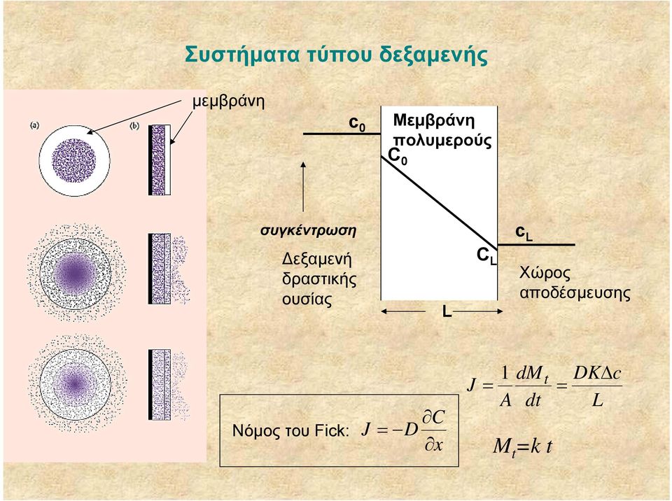 εξαµενή δραστικής ουσίας L C L Χώρος