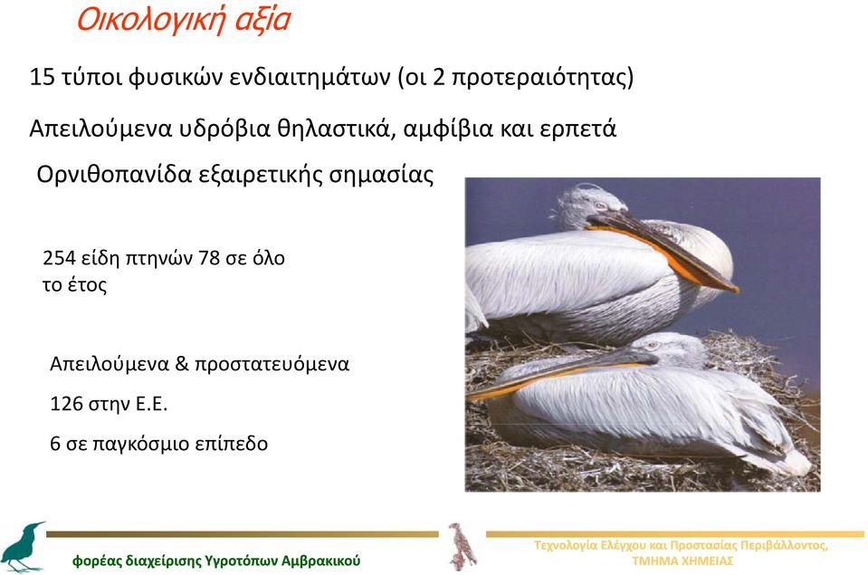 ερπετά Ορνιθοπανίδα εξαιρετικής σημασίας 254 είδη πτηνών 78 σε