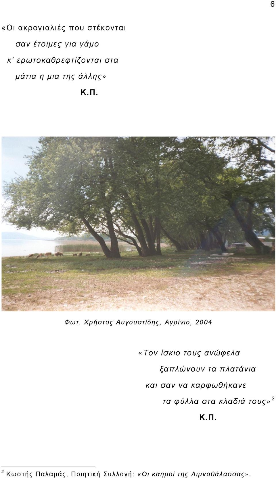 Χρήστος Αυγουστίδης, Αγρίνιο, 2004 «Τον ίσκιο τους ανώφελα ξαπλώνουν τα