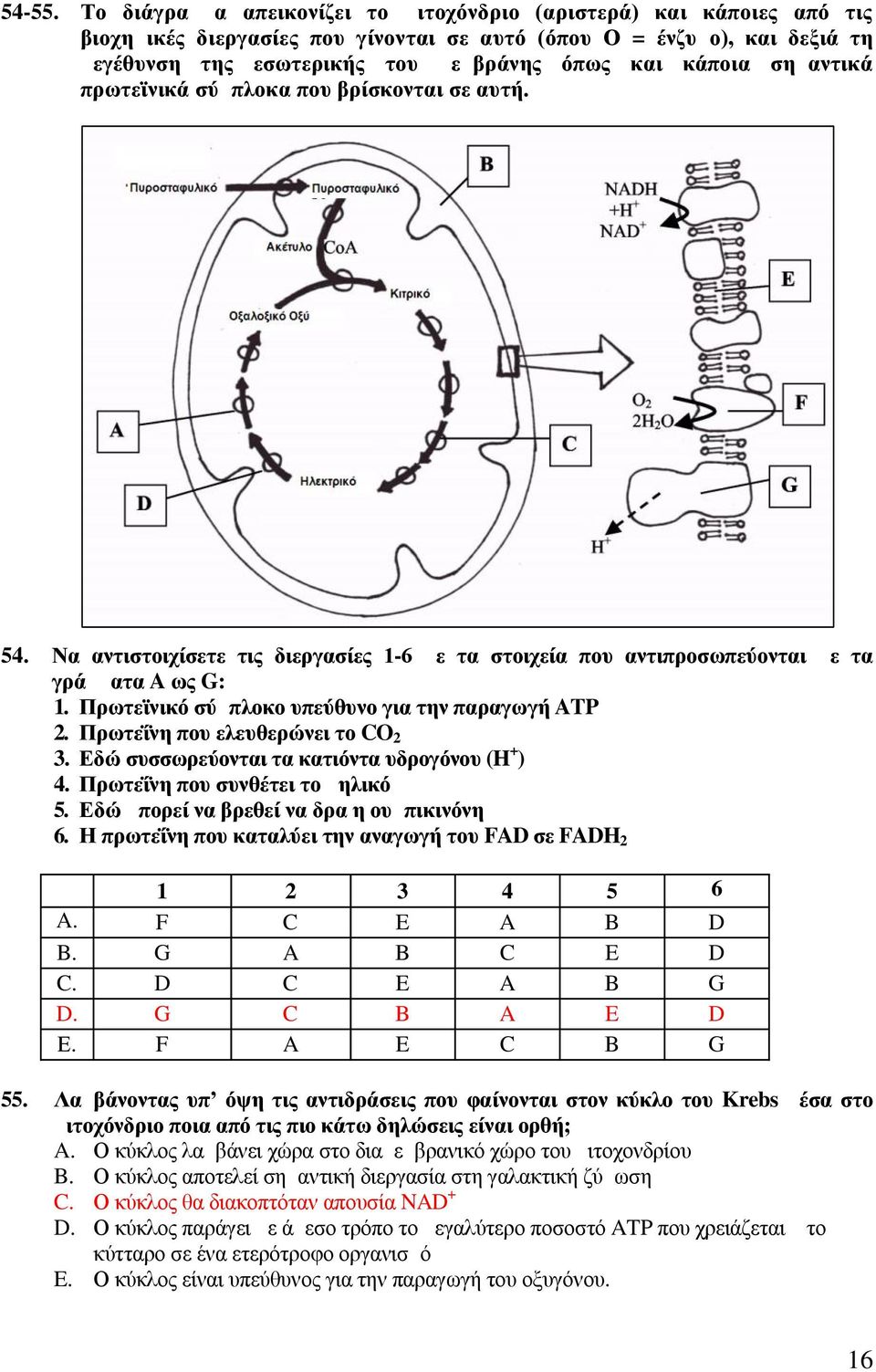 κάποια σημαντικά πρωτεϊνικά σύμπλοκα που βρίσκονται σε αυτή. 54. Να αντιστοιχίσετε τις διεργασίες 1-6 με τα στοιχεία που αντιπροσωπεύονται με τα γράμματα A ως G: 1.
