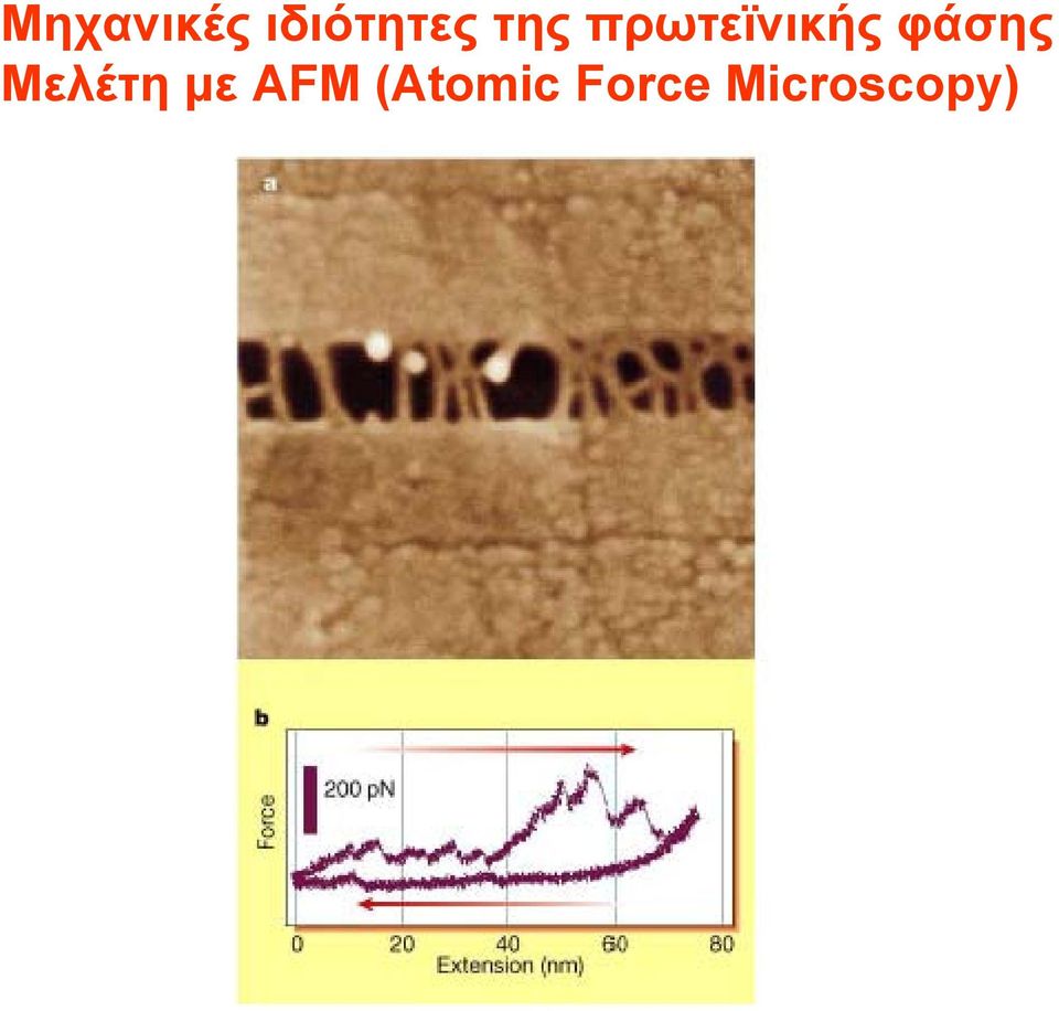 φάσης Μελέτη με AFM