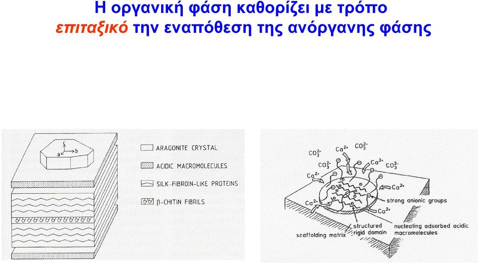 επιταξικό την