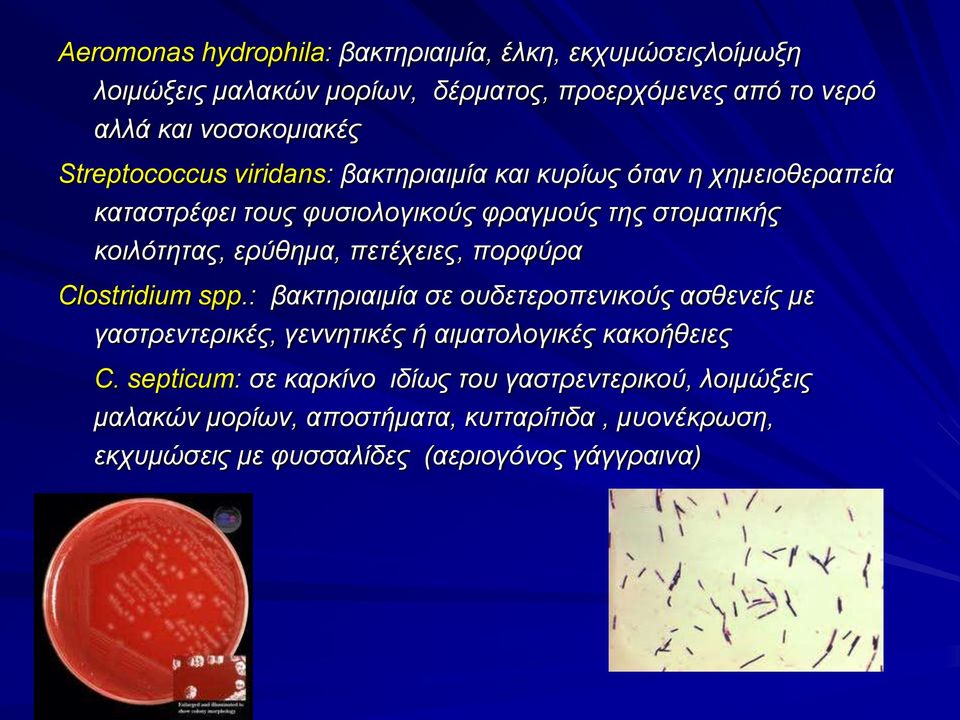 πετέχειες, πορφύρα Clostridium spp.: βακτηριαιμία σε ουδετεροπενικούς ασθενείς με γαστρεντερικές, γεννητικές ή αιματολογικές κακοήθειες C.