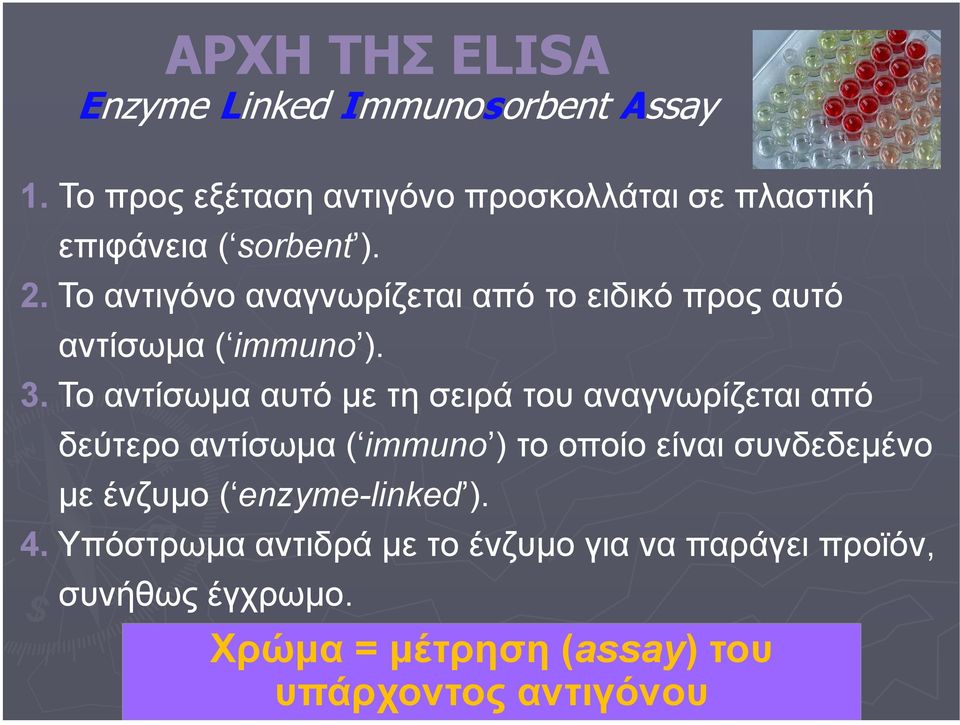 Το αντιγόνο αναγνωρίζεται από το ειδικό προς αυτό αντίσωµα ( immuno ). 3.