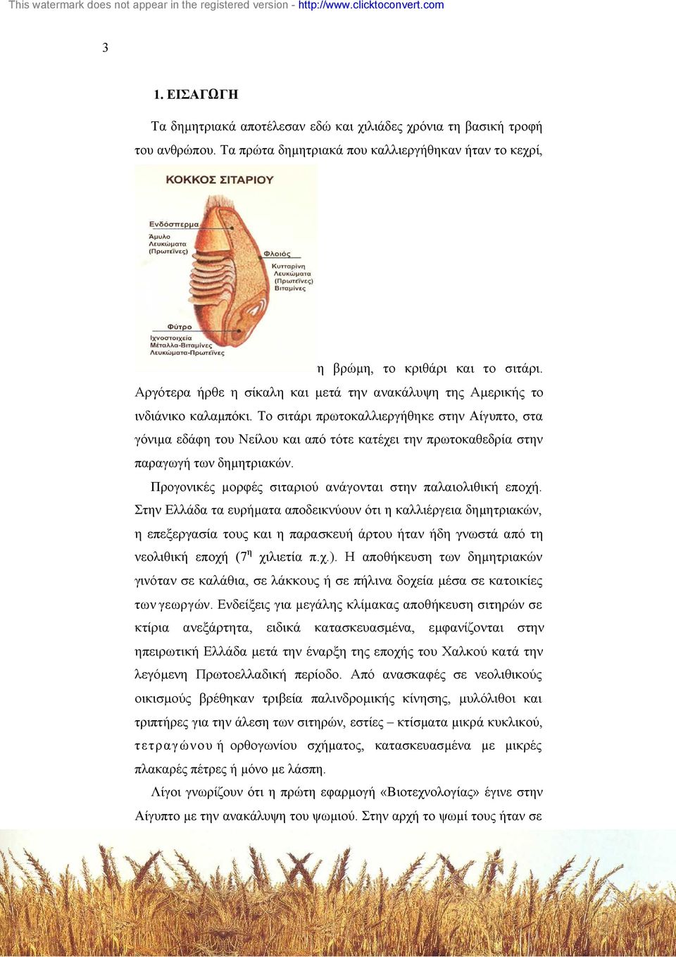 Το σιτάρι πρωτοκαλλιεργήθηκε στην Αίγυπτο, στα γόνιµα εδάφη του Νείλου και από τότε κατέχει την πρωτοκαθεδρία στην παραγωγή των δηµητριακών.