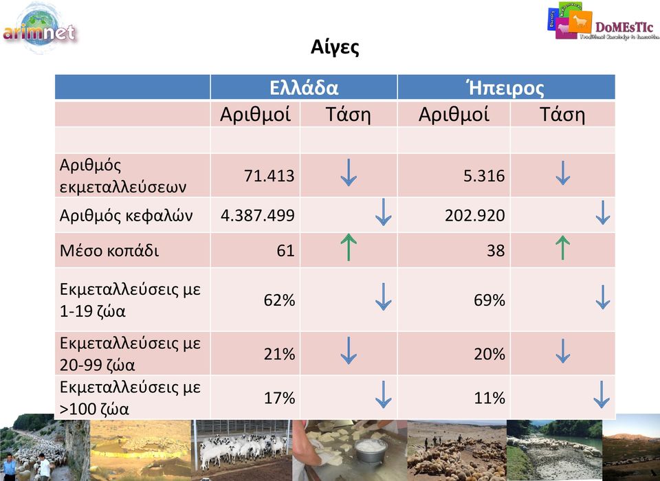 920 Μέσο κοπάδι 61 38 Εκμεταλλεύσεις με 1-19 ζώα