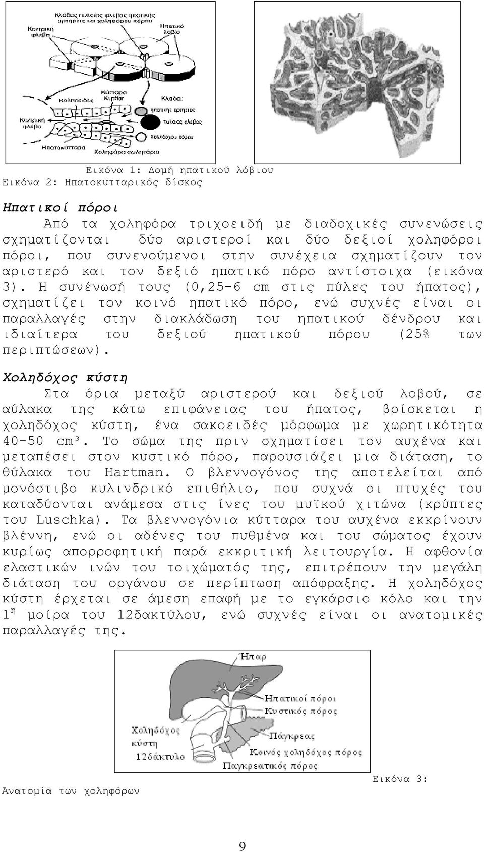 Η συνένωσή τους (0,25-6 cm στις πύλες του ήπατος), σχηµατίζει τον κοινό ηπατικό πόρο, ενώ συχνές είναι οι παραλλαγές στην διακλάδωση του ηπατικού δένδρου και ιδιαίτερα του δεξιού ηπατικού πόρου (25%