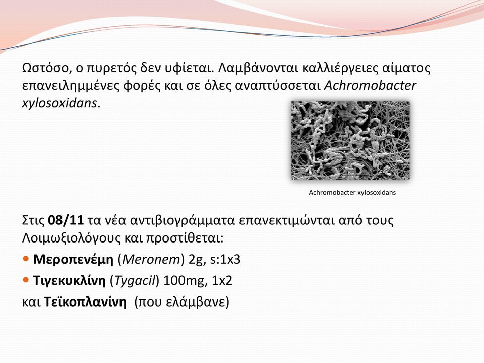 Achromobacter xylosoxidans.