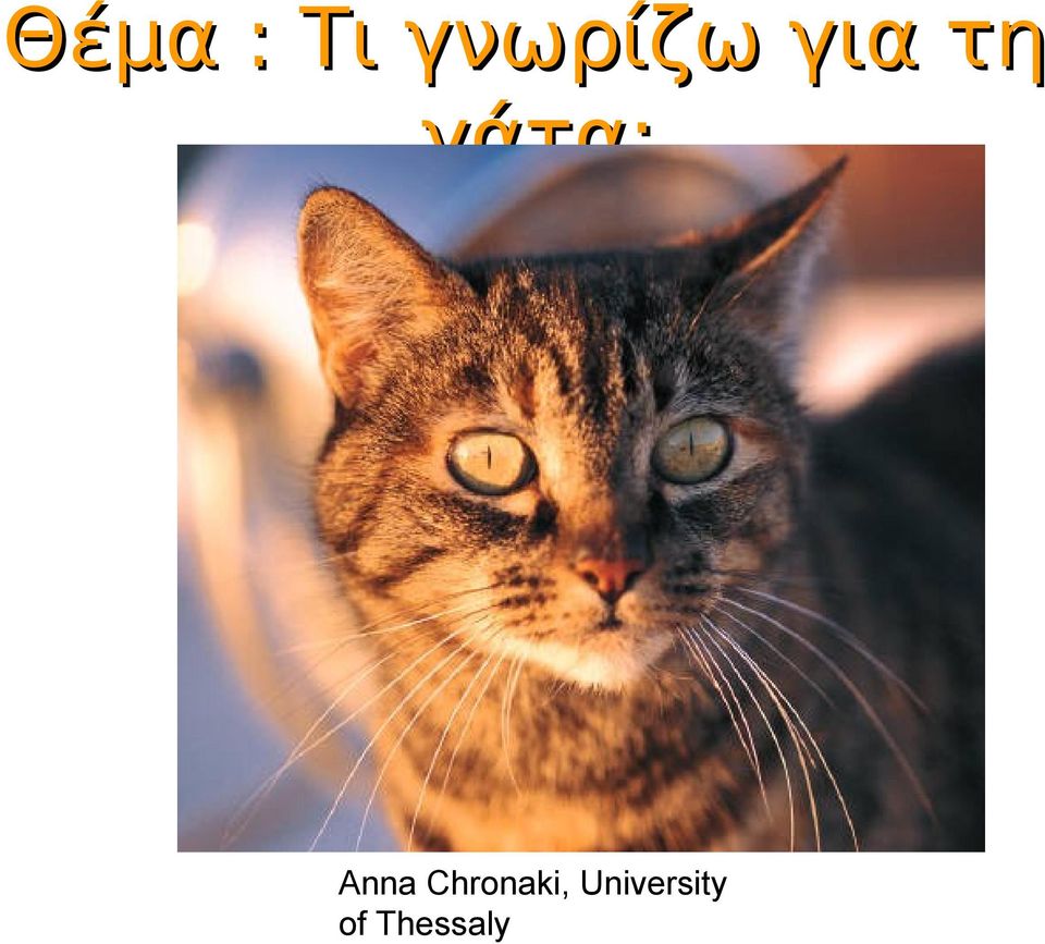 γάτα; Anna
