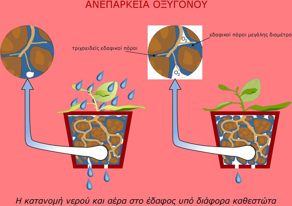 εδαφικοί πόροι Ο 2 Η κατανομή νερού