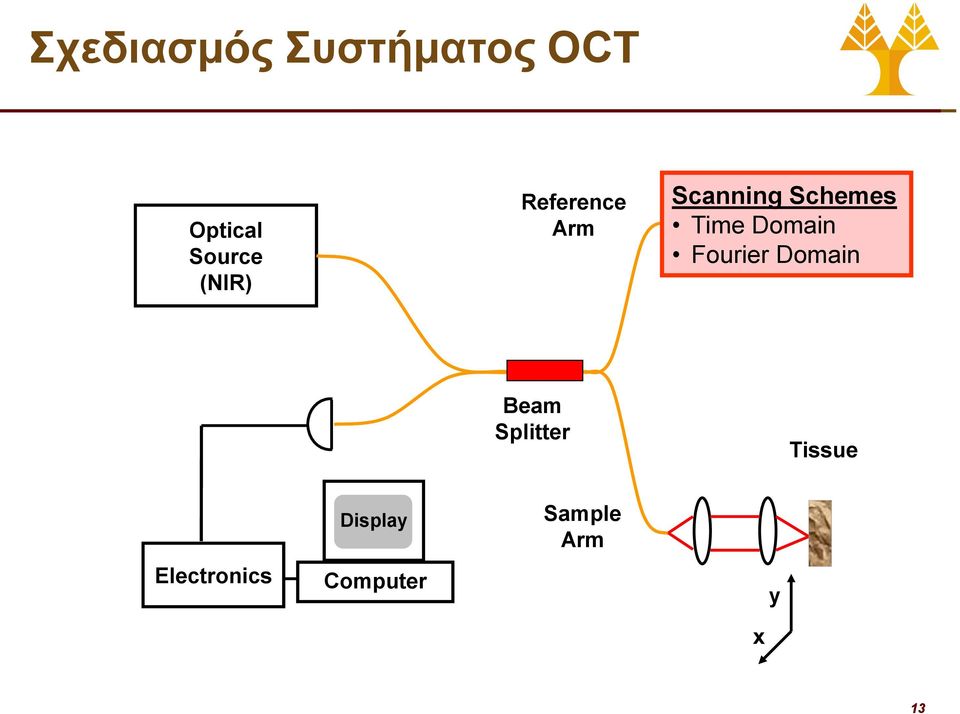 Domain Fourier Domain Beam Splitter Tissue