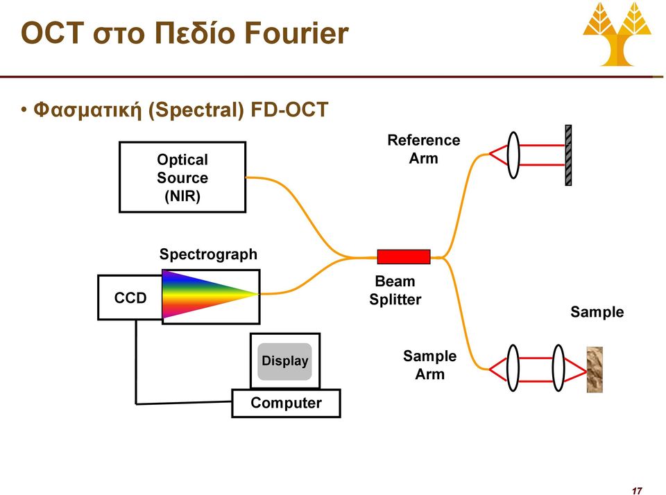 Reference Arm Spectrograph CCD Beam