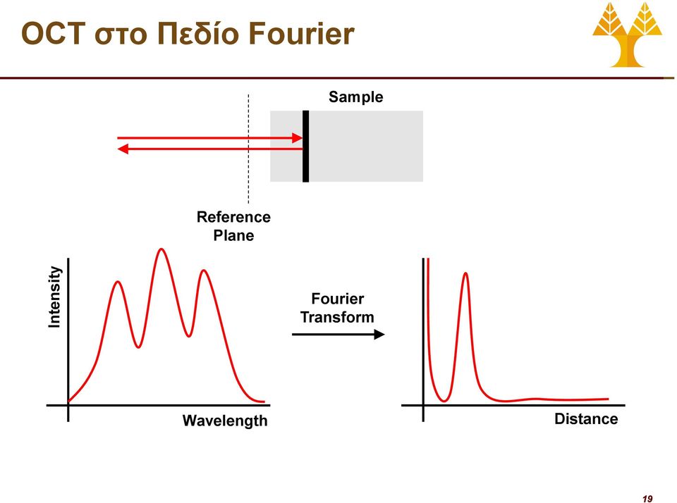 Reference Plane Fourier