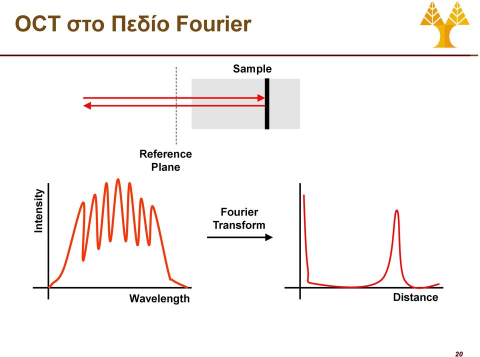 Reference Plane Fourier