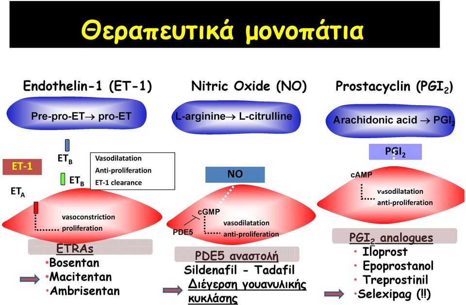 Anti proliferation ET 1 clearance PDE5 cgmp NO vasodilatation anti proliferation PDE5 αναστολή Sildenafil - Tadafil Διέγερση