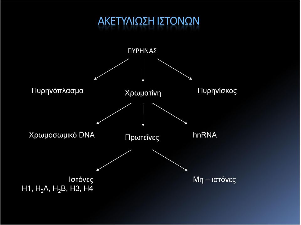 Χρωµοσωµικό DNA Πρωτεΐνες hnrna